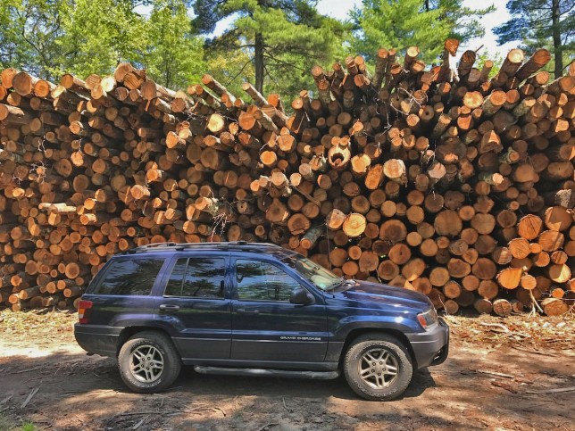 Log Stack with Car